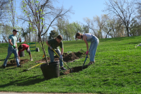Tree Planting at Roots Disc Golf Course in SLC