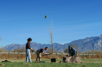 Plant an Orchard at Dimple Dell