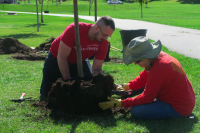 Tree Planting at Fitts Park in South Salt Lake