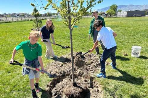 A group of four work together to plant a tree in a grassy field.