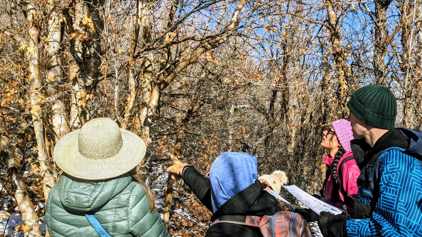 Group of people dressed in winter clothes actively pointing at winter trees to ID them