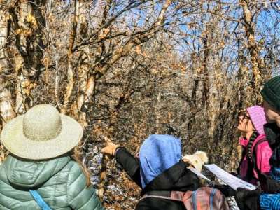 Group of people dressed in winter clothes actively pointing at winter trees to ID them Group of people dressed in winter clothes actively pointing at winter trees to ID them