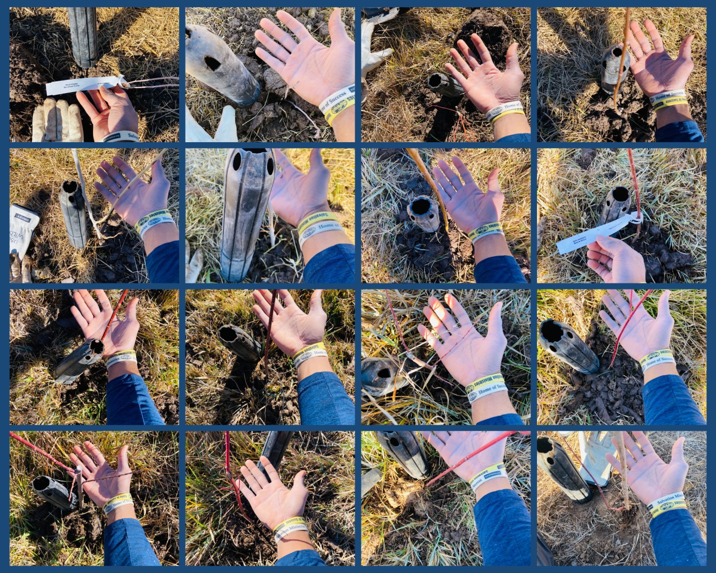 16 photos of volunteer's hand with the trees that he planted