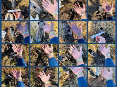 16 photos of volunteer's hand with the trees that he planted 16 photos of volunteer's hand with the trees that he planted