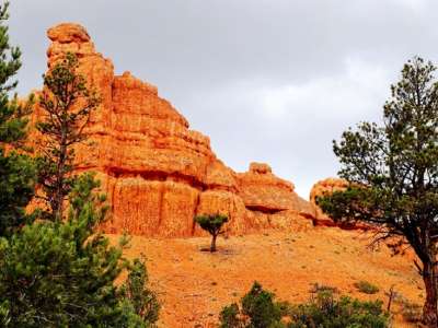 Bryce canyon with trees below hoodoo