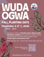 Wuda Ogwa Community Planting Days