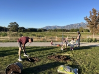 Wheadon Farm Planting Event