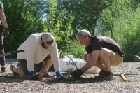 Planting at Magna Regional Park