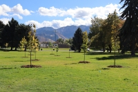 Tree Planting at Sugar House Park!