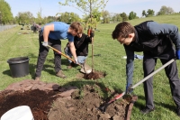 Tree Planting at Constitution Park!
