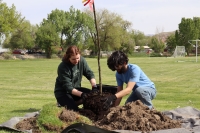 man and woman volunteers planting a tree