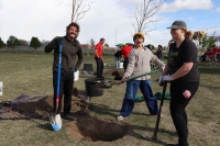 a group of volunteers planting a tree