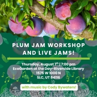 Plum Jam Workshop and Live Jams!