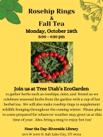 Rose Hip Rings & Fall Tea Workshop