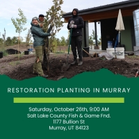 Restoration Planting in Murray