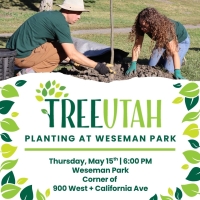 Planting at Weseman Park in Salt Lake City