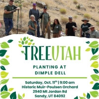 Tree Planting at Dimple Dell