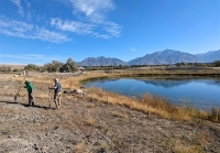 Habitat Restoration: Planting & Invasive Species Removal