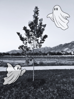 Sp00ky Planting at Draper Rec Center